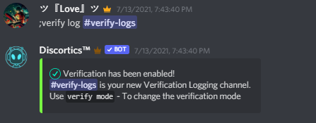 Verification System | Securing your Discord Server