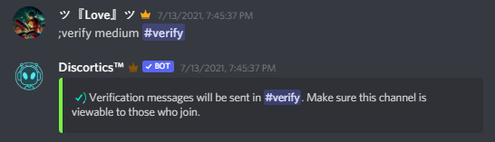 Verification System | Securing your Discord Server