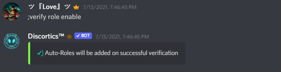 Verification System | Securing your Discord Server